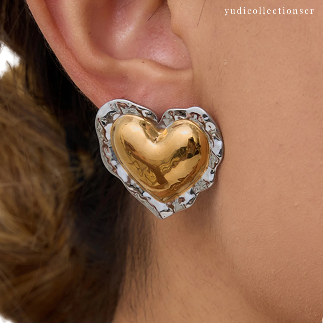 Aretes "Febrero 153"