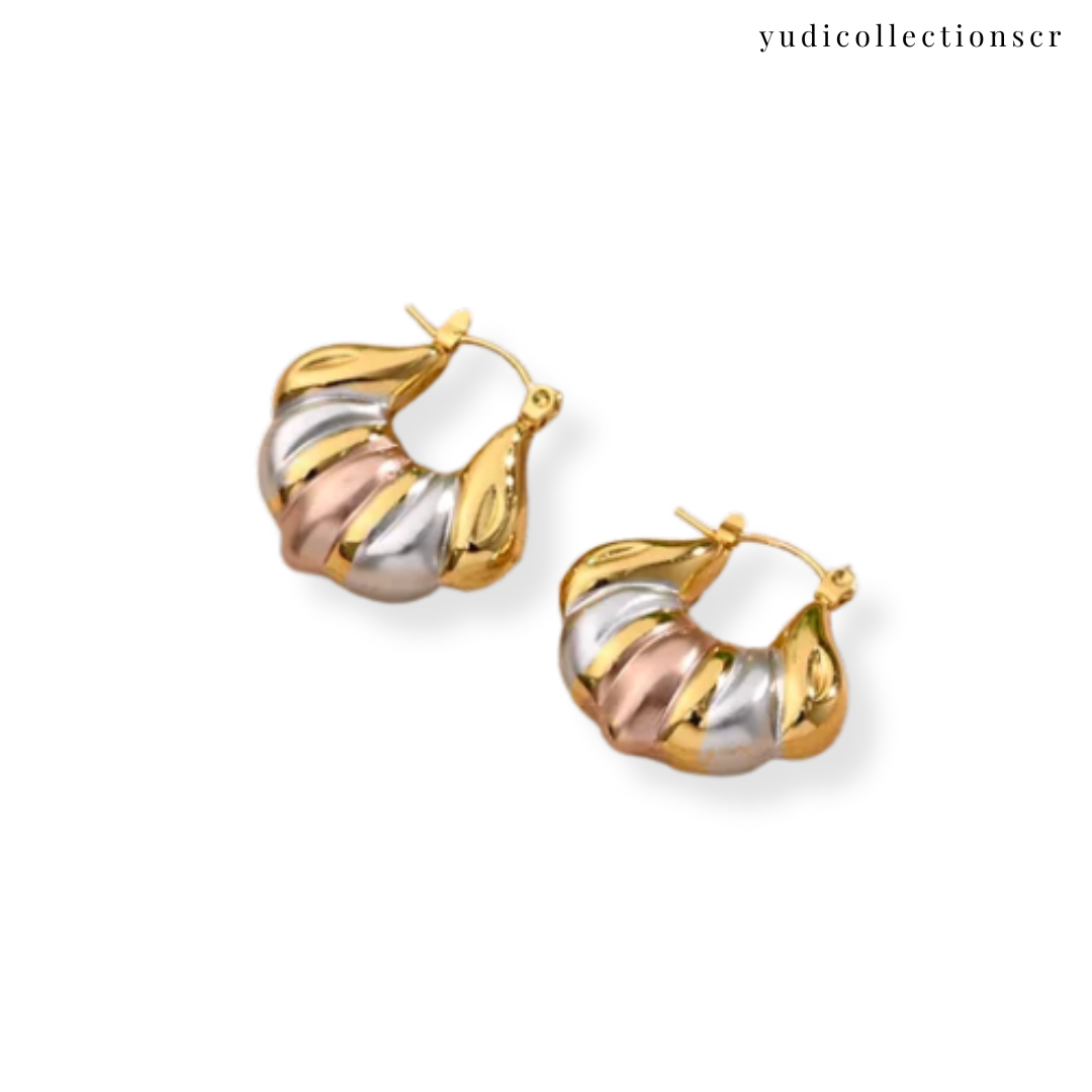 Argollas "Febrero 157"